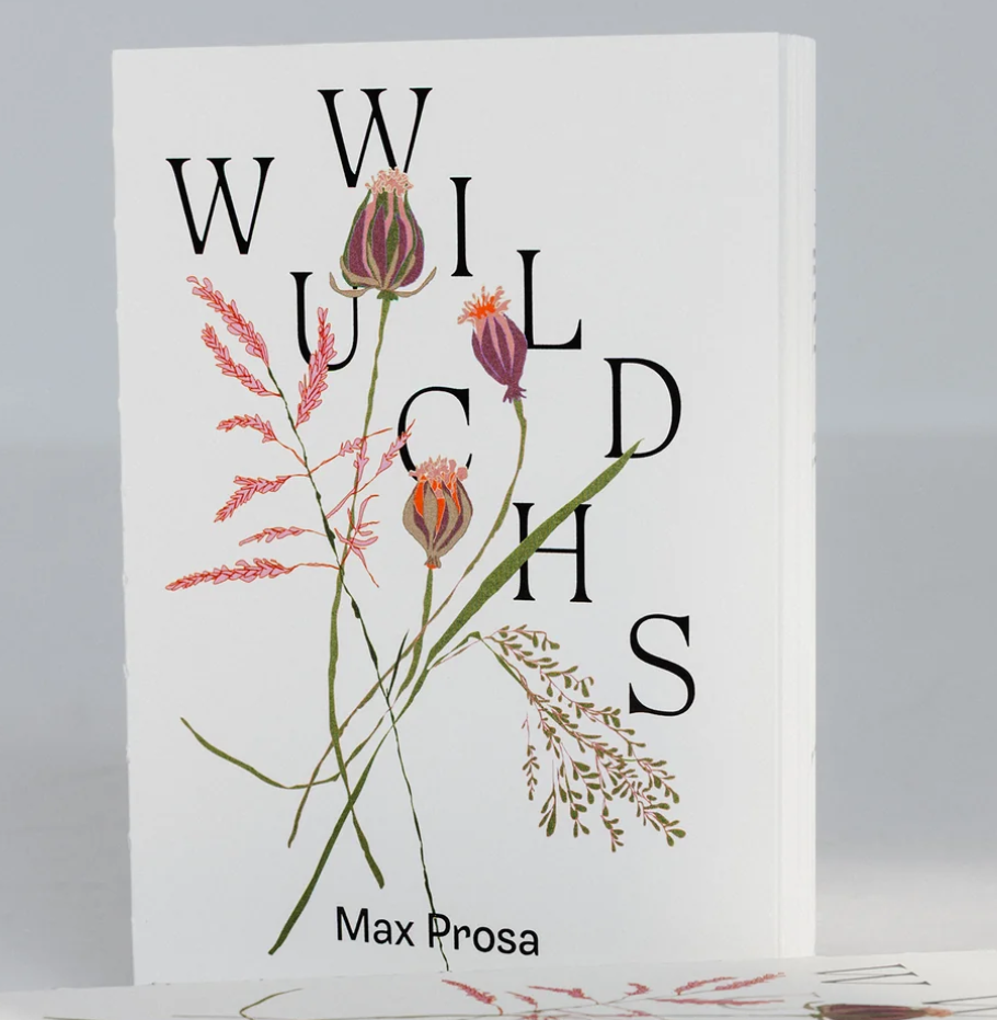 Coverabbildung des Buches "Wildwuchs" von Max Prosa.